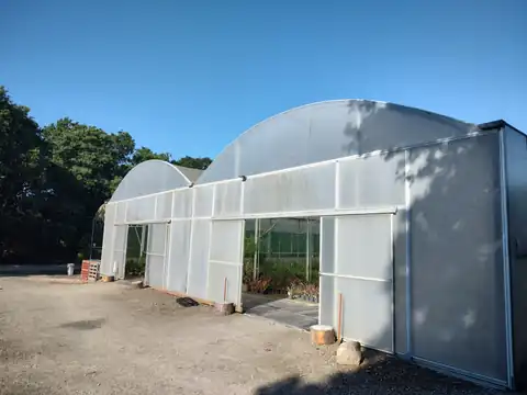 Front and side view of a re-sheeted commercial polytunnel at Bodmin Nursery